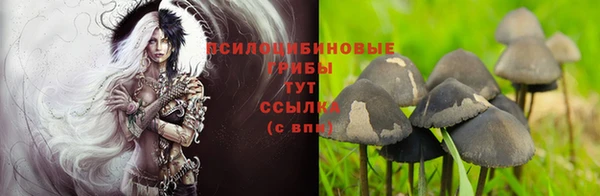 ГАЛЛЮЦИНОГЕННЫЕ ГРИБЫ Абдулино