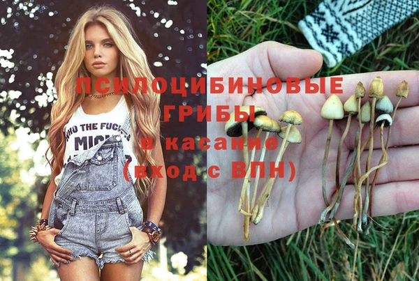 кристаллы Алексеевка
