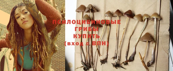 ГАЛЛЮЦИНОГЕННЫЕ ГРИБЫ Абдулино