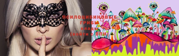 ГАЛЛЮЦИНОГЕННЫЕ ГРИБЫ Абдулино
