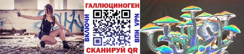 где можно купить Починок Псилоцибиновые грибы MAGIC MUSHROOMS